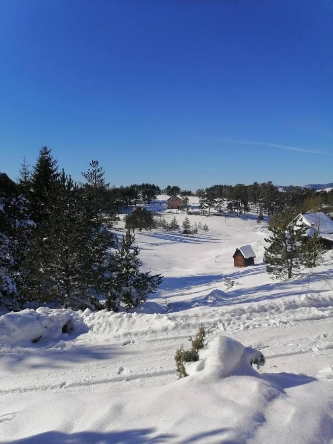 Vila Borova Glava Villa Zlatibor Exterior photo