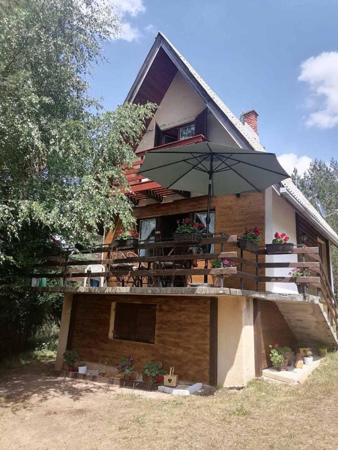 Vila Borova Glava Villa Zlatibor Exterior photo