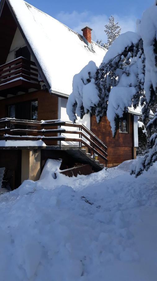 Vila Borova Glava Villa Zlatibor Exterior photo