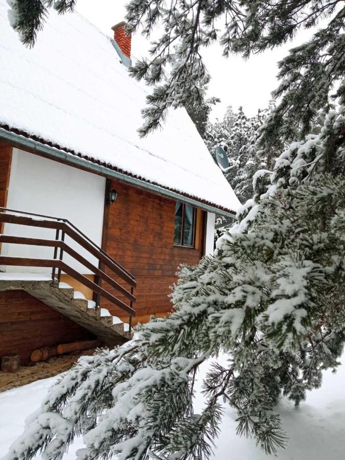 Vila Borova Glava Villa Zlatibor Exterior photo